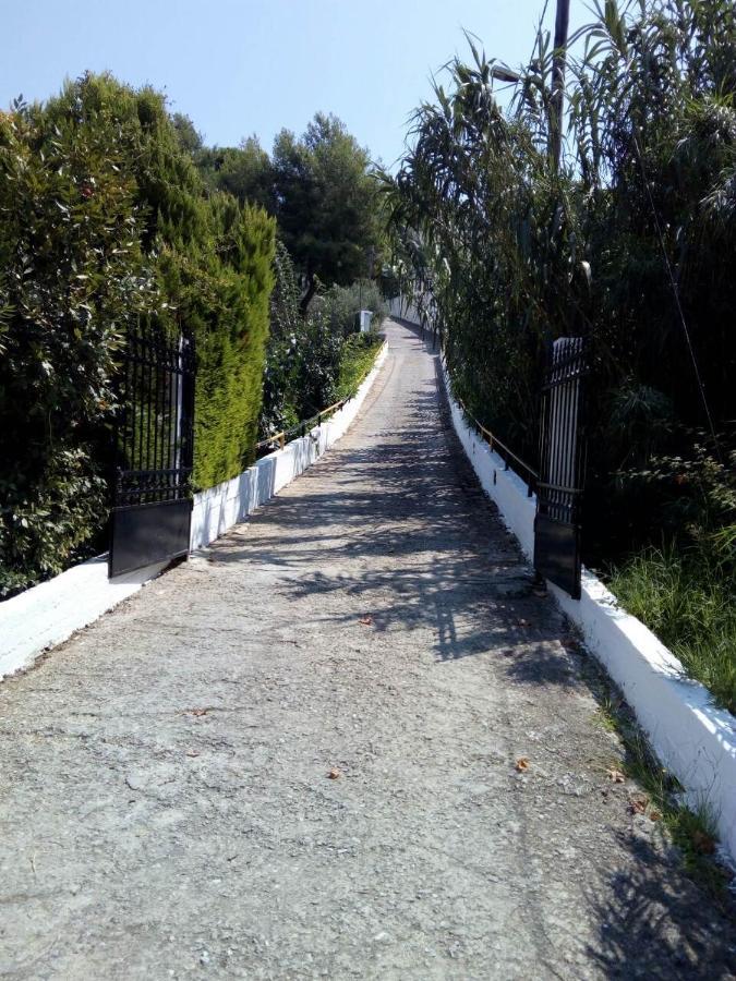 Villa Xanthippi Агия Параскеви Екстериор снимка