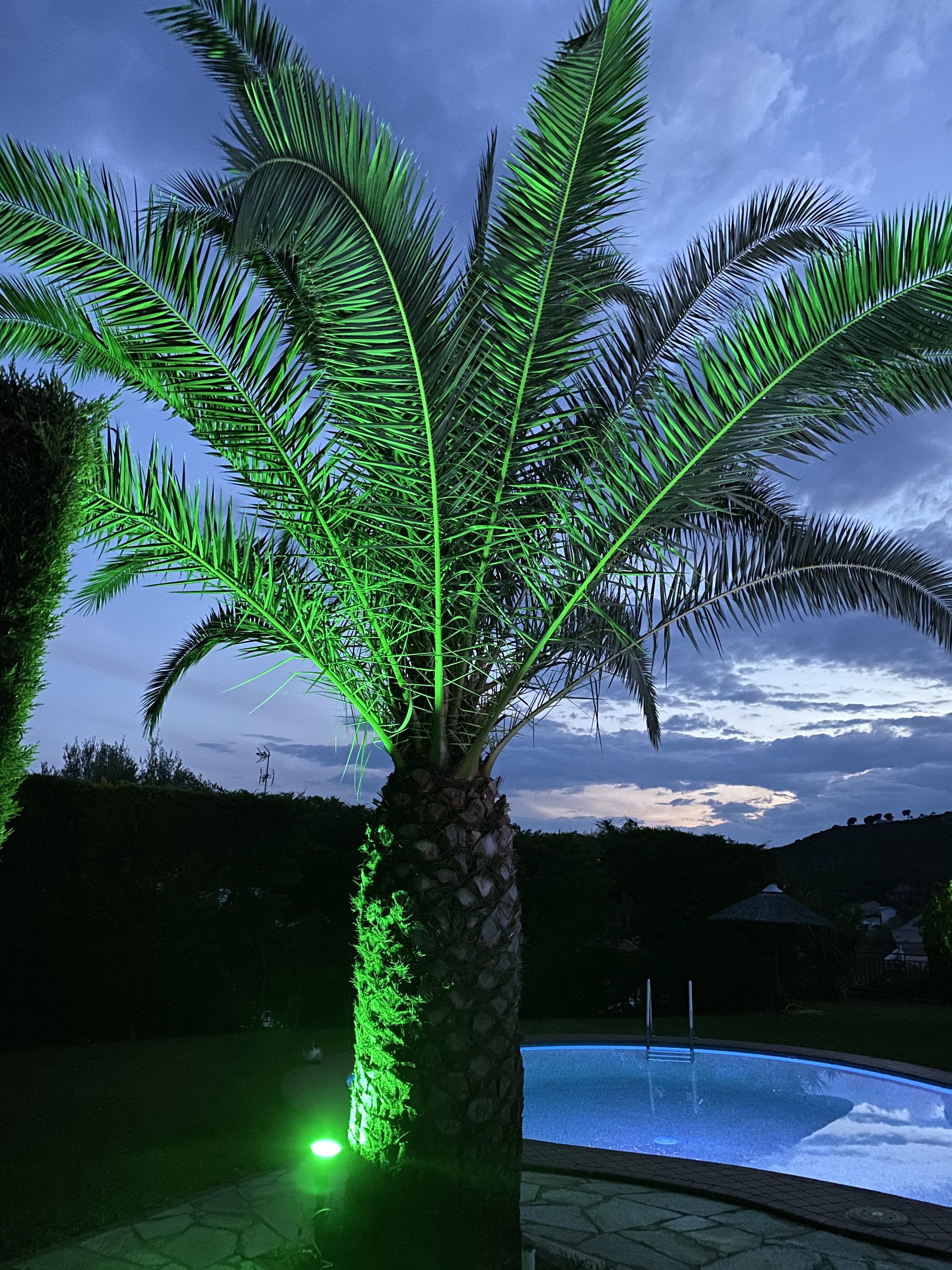 Villa Xanthippi Агия Параскеви Екстериор снимка