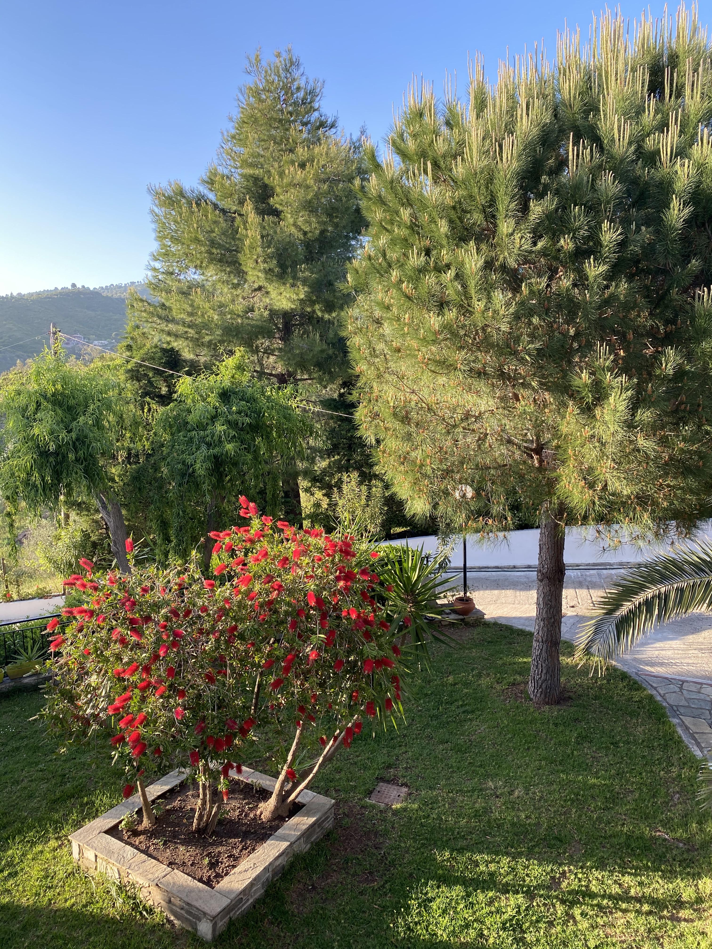 Villa Xanthippi Агия Параскеви Екстериор снимка